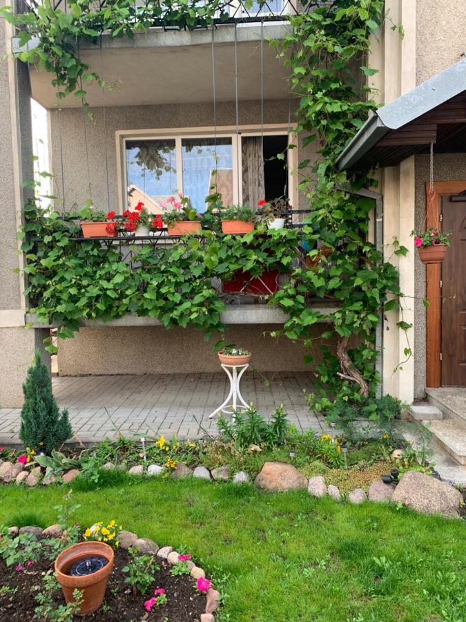 Готель Regina House Каунас Екстер'єр фото
